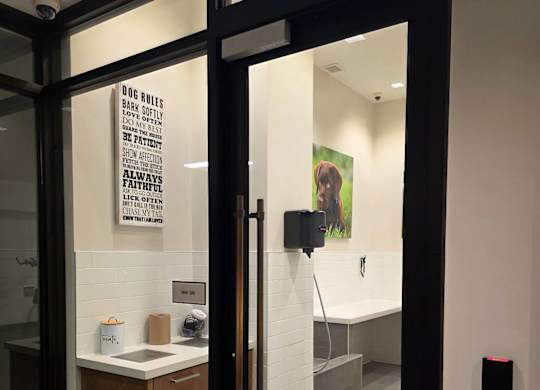 Pet spa wash station at Valo Apartments in Southwest Waterfront, Washington, DC 20024