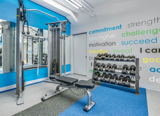 Free Weights  at Residences at Rio, Gaithersburg