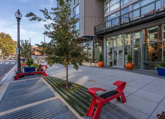 a tree and two red benches on a sidewalk in front of a building at The Shay, District of Columbia