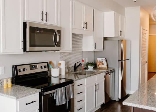 Modern Kitchen With Custom Cabinet at Hello Apartments, Minneapolis, 55427