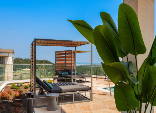 a terrace with a view of the ocean and a palm tree