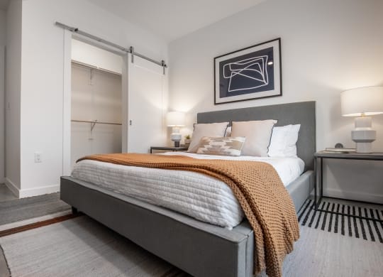a bedroom with a bed and a closet