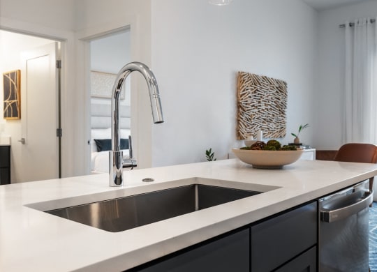 a kitchen with a sink and a chrome faucet