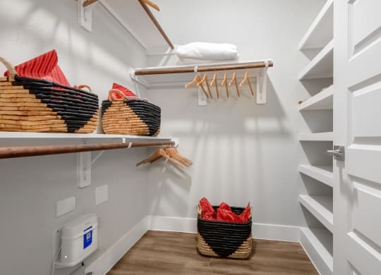 The Atwater Apartments Walk-In Closet