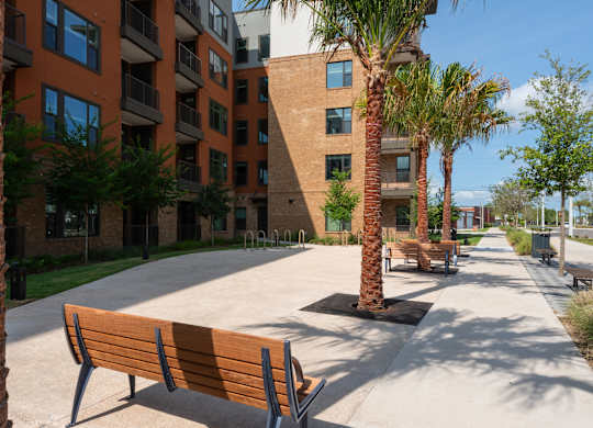 A sunny day at the park with benches and palm trees.