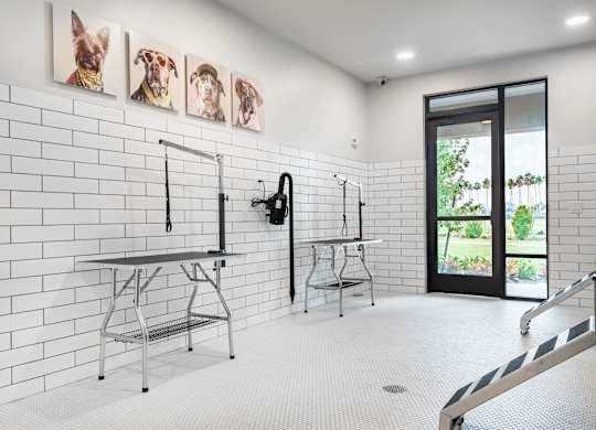 A white tiled room with a table and chairs and pictures of dogs on the wall.