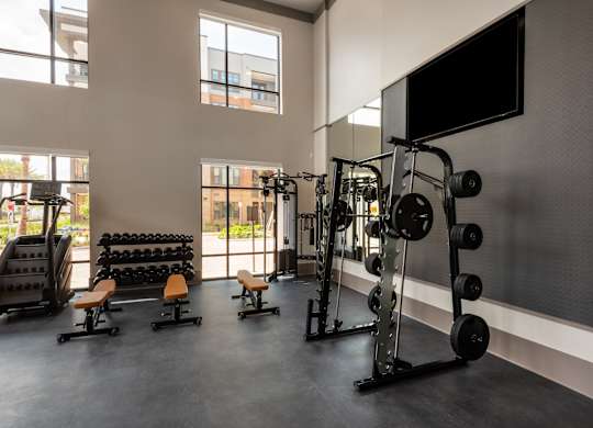 A gym with a variety of equipment including a squat rack, bench, and weights.