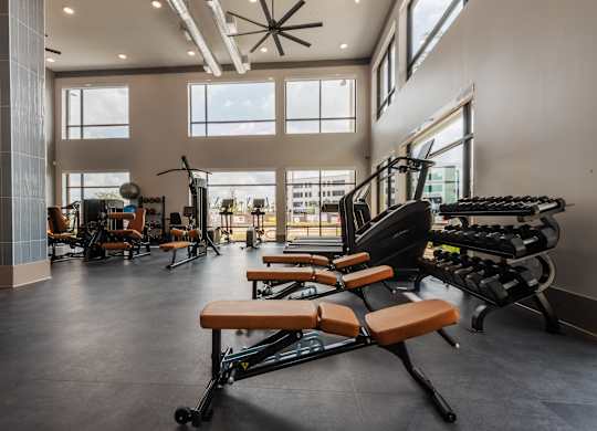 A gym with a variety of equipment including treadmills, weights, and a bench.