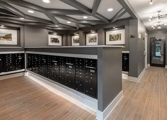 A modern kitchen with black cabinets and wooden floors.