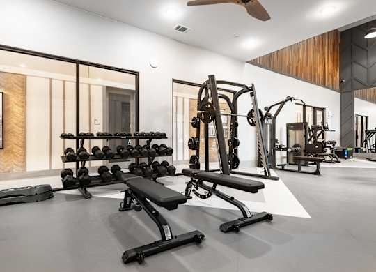 Gym With Free Weights, Benches, And Squat Rack
