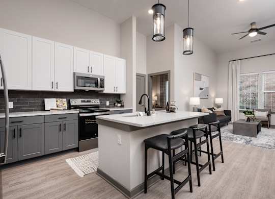 Modern Kitchen
