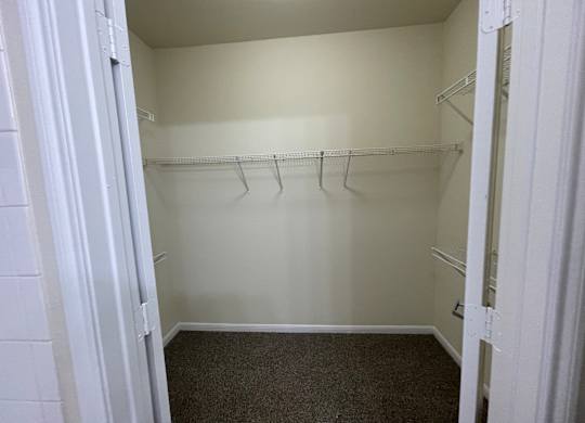 A white closet with a carpeted floor and white walls.