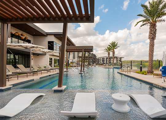 A pool area with sun loungers and a palm tree.