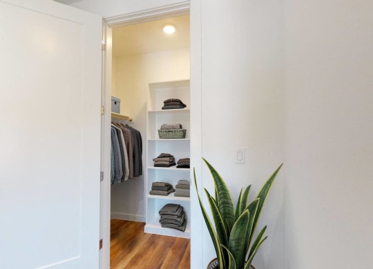 a walk in closet with a plant and a white door