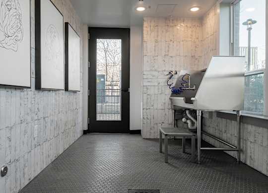 Pet Wash Station at Tin Top at the Creamery