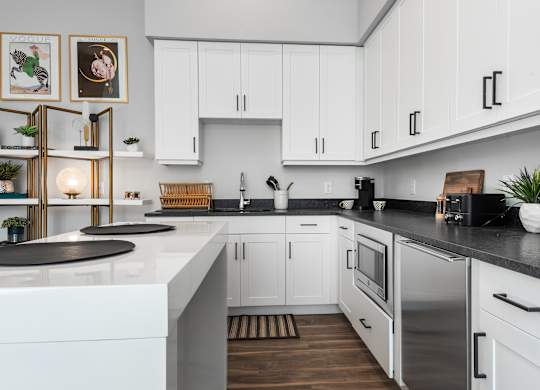 Apartment Kitchen at Tin Top at the Creamery