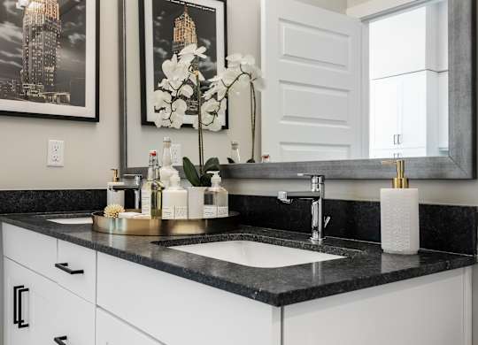 Apartment Bathroom at Tin Top at the Creamery Apartments