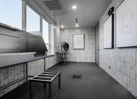 Pet Wash Station at Tin Top at the Creamery