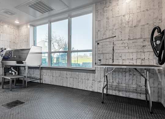 Pet Wash Station at Tin Top at the Creamery