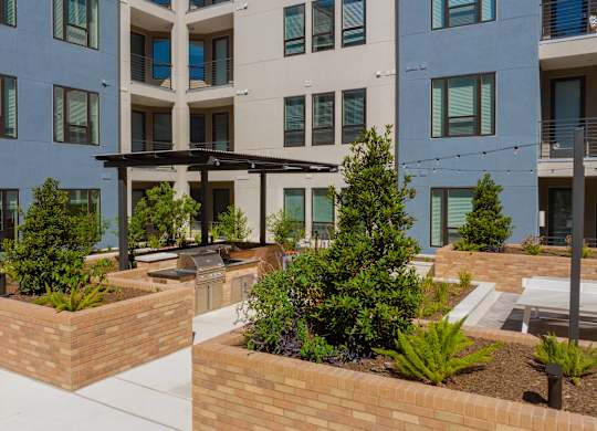 an outdoor area with plants and trees in front of an apartment building