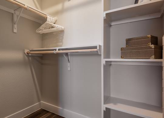 Walk In Closet at Tin Top at the Creamery Apartments