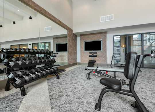 the gym at the enclave at woodbridge apartments in sugar land, tx