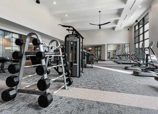 a gym with weights and other exercise equipment on a carpeted floor
