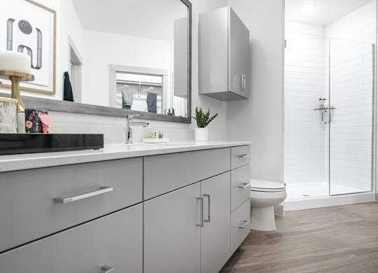 Apartment Bathroom at Tin Top at the Creamery Apartments