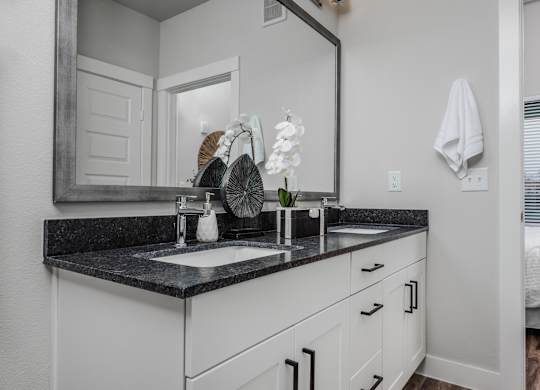 Apartment Bathroom at Tin Top at the Creamery Apartments