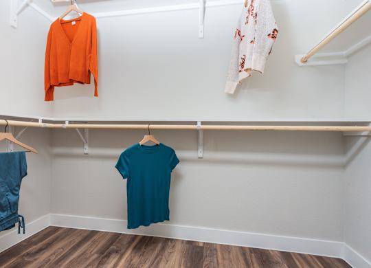 Walk In Closet at Tin Top at the Creamery Apartments