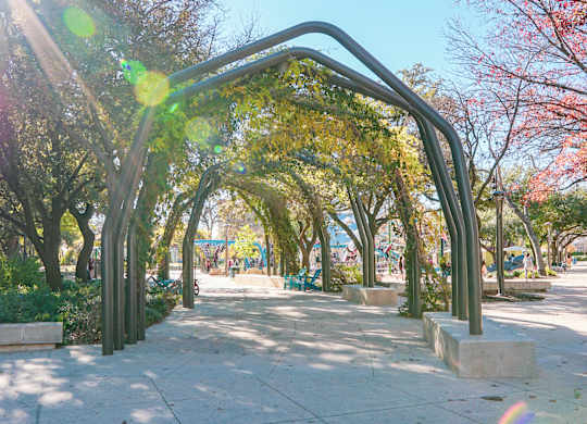 A sunny day in a park with a walkway and trees.