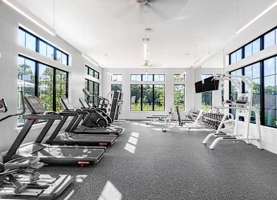 A gym with treadmills, elliptical machines, and a flat screen TV.