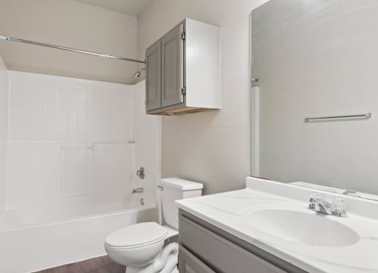 A white toilet sits next to a sink in a bathroom.