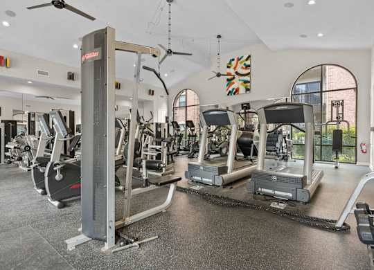 Fitness with cardio and strength training equipment at Melia Medical Center Apartments, Houston, 77054