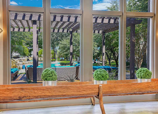 A wooden bench with three green plants on it in front of a window with a view of a pool and trees.