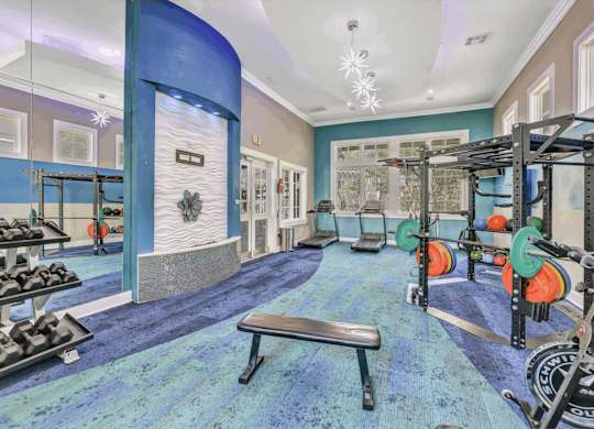 A gym with a bench, weights, and mirrors.