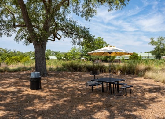 Outdoor Picnic Area at Abberly Crossing Apartment Homes, Ladson