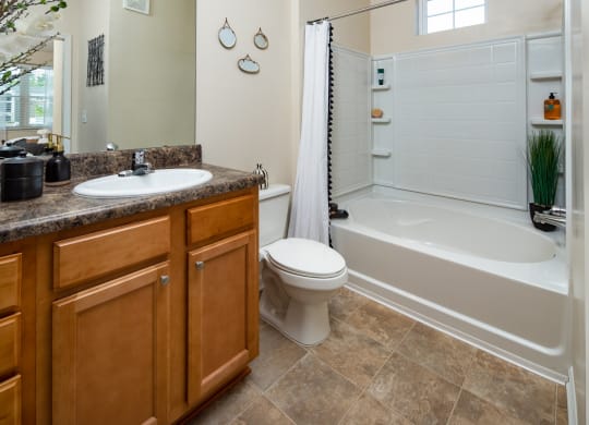 Bathroom at Abberly Crossing Apartment Homes, South Carolina