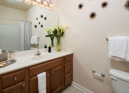 Large Vanity Storage at Abberly Pointe Apartment Homes, Beaufort, 29935