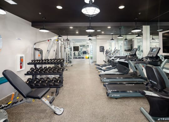 Stylized Fitness Studio with Fitness on Demand at Abberly Solaire Apartment Homes, Garner, North Carolina