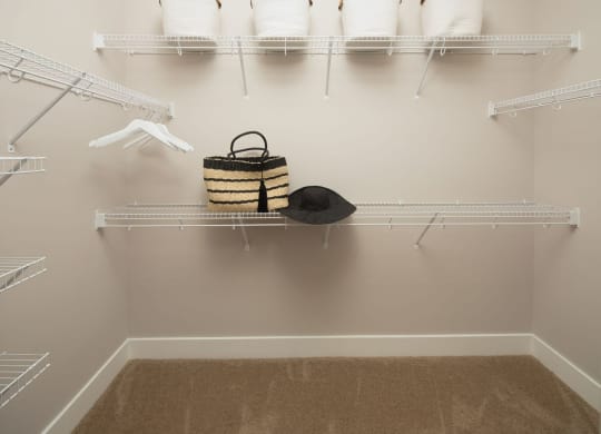 Built-In Shelving In Closet at Abberly Solaire Apartment Homes, North Carolina, 27529