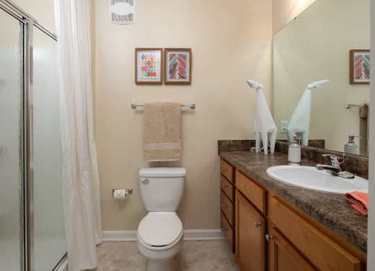 Renovated Bathrooms With Quartz Counters at Abberly Village Apartment Homes by HHHunt, South Carolina