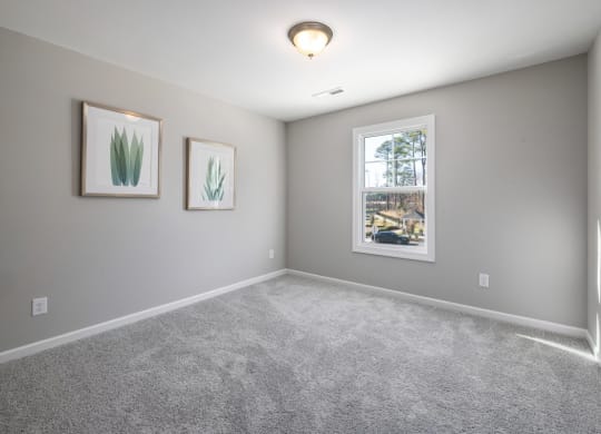 a bedroom with gray walls and carpet