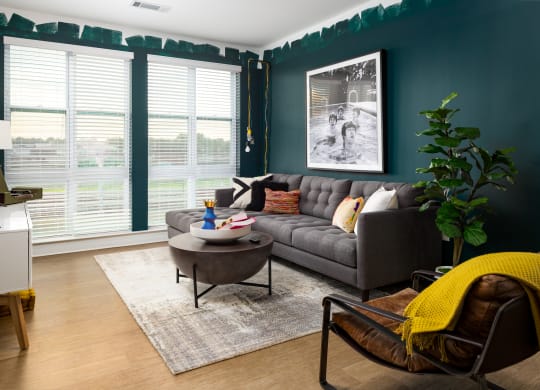 a living room with teal walls and a gray couch