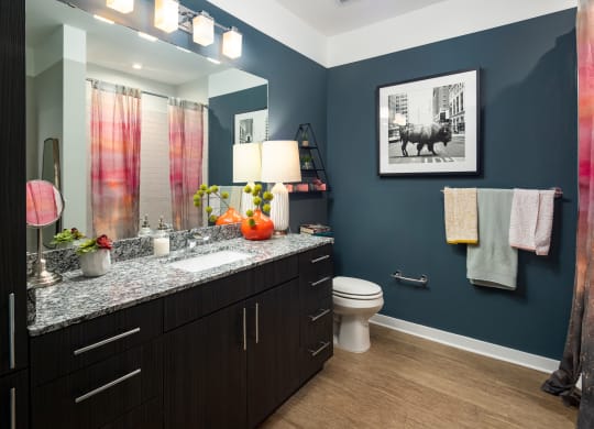 a bathroom with blue walls and a black and white picture on the wall at Abberly Noda Vista Apartment Homes, Charlotte