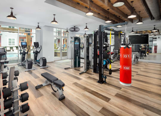 a spacious fitness center with cardio machines and weights at Abberly Noda Vista Apartment Homes, Charlotte, North Carolina
