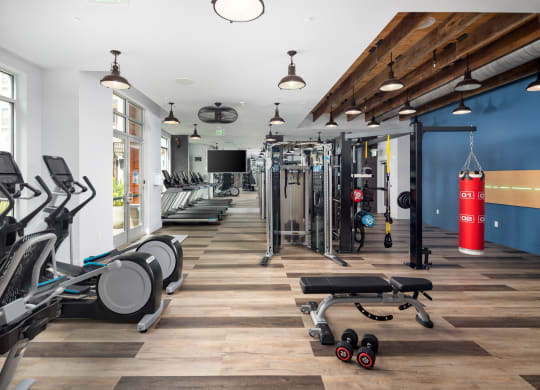 a gym with cardio equipment and weights  at Abberly Noda Vista Apartment Homes, North Carolina