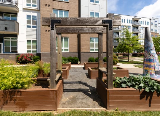 a courtyard with wood planters and a sculpture in front of an apartment building  at Abberly Noda Vista Apartment Homes, Charlotte, North Carolina