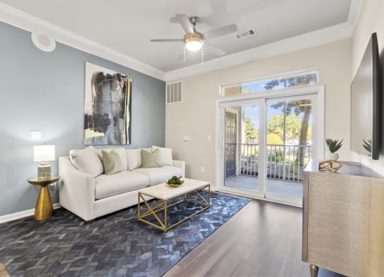 living room at West Ashley Apartment Homes, South Carolina