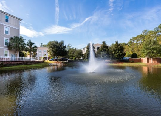 Water fountain at West Ashley Apartment Homes, Charleston